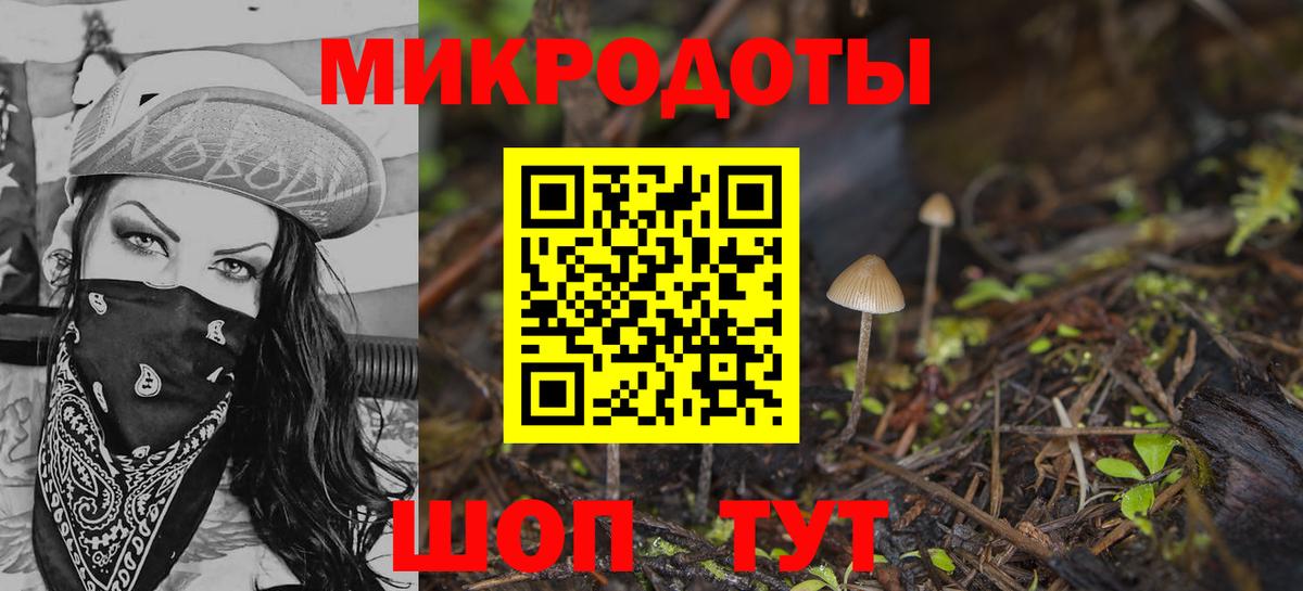 Галлюциногенные грибы мухоморы  наркотики  Псилоцибиновые грибы прущие грибы  Звенигород  Вход с VPN 