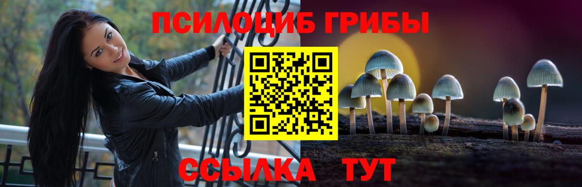 Псилоцибиновые грибы MAGIC MUSHROOMS Звенигород